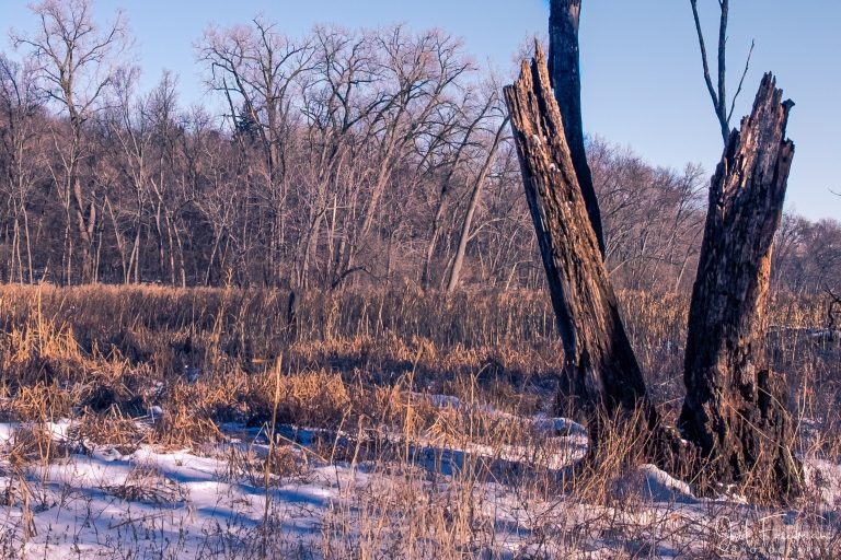 National Wildlife Preserve, Minneapolis