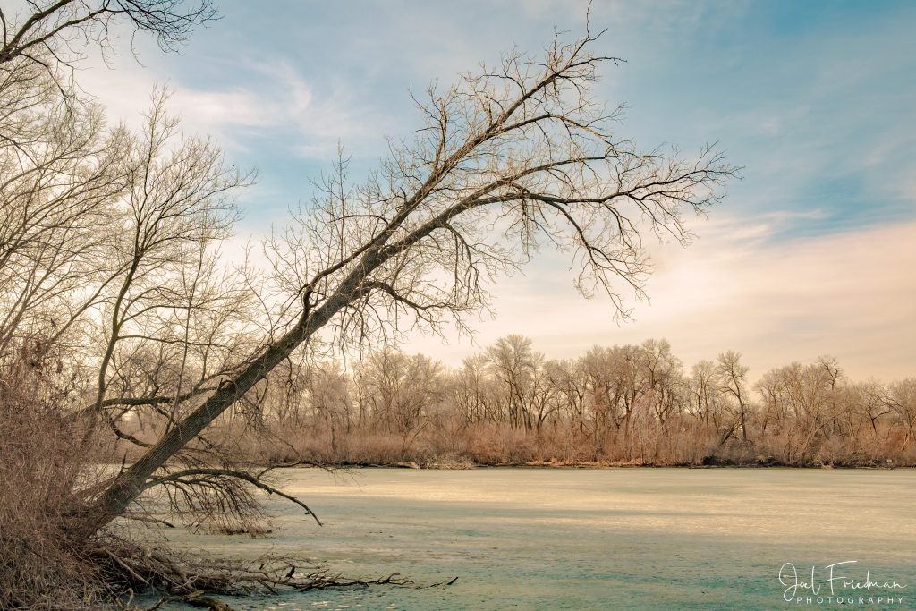 Anticipating Spring